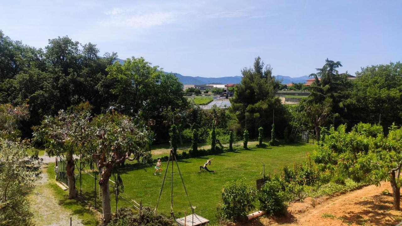 La Pineta Parco vacanze