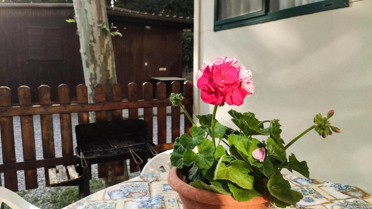 La Pineta Parco vacanze Albenga
