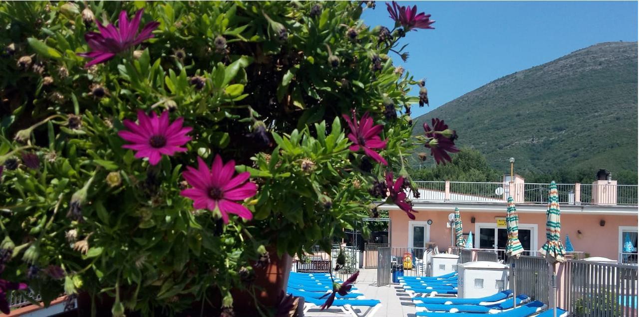 La Pineta